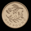2013 Gold Proof &pound;1 Four Coin Set - Floral - 5