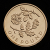 2013 Gold Proof £1 Four Coin Set - Floral - 7