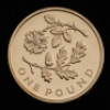 2013 Gold Proof &pound;1 Four Coin Set - Floral - 7