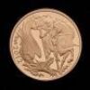 2012 UK Gold Sovereign 5 coin Collection - 5