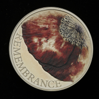 2018 Remembrance Day Silver Piedfort Proof &pound;5 Coin