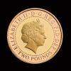 2013 Anniversary of the Guinea Gold Proof £2 Coin - 2