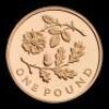 2013 Gold Floral Collection &pound;1 Four Coin Set - 3