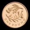 2013 Gold Floral Collection &pound;1 Four Coin Set - 5