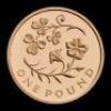 2013 Gold Floral Collection &pound;1 Four Coin Set - 7