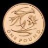 2013 Gold Floral Collection &pound;1 Four Coin Set - 9