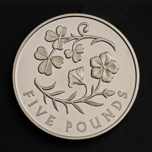 Northern Ireland 2025 &pound;5 Base Proof Trial Piece