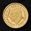 Britannia 2025 1/20oz Gold Proof Trial Piece - 2