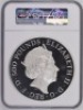 2016 Lunar Year of the Monkey Silver Proof &pound;500 - 2