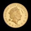Hogwarts Express 2022 2oz Gold Proof Trial Piece - 2