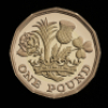 2017 Gold Proof Pound Coin - 2