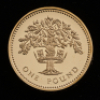 2008 25th Anniversary of the &pound;1 coin Fourteen-coin set - 5