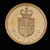 2008 25th Anniversary of the &pound;1 coin Fourteen-coin set - 13