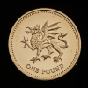 2008 25th Anniversary of the £1 coin Fourteen-coin set - 15