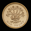 2008 25th Anniversary of the £1 coin Fourteen-coin set - 25