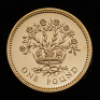 2008 25th Anniversary of the &pound;1 coin Fourteen-coin set - 25