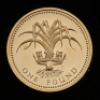 2008 25th Anniversary of the &pound;1 coin Fourteen-coin set - 29