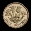 2017 Gold Proof Pound Coin - 2