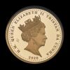 2020 Centenary of the Unknown Warrior Gold Proof Sovereign - 2